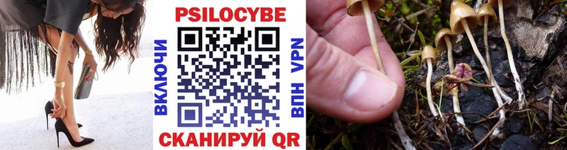 Галлюциногенные грибы Psilocybine cubensis  Купить где  Катайск 